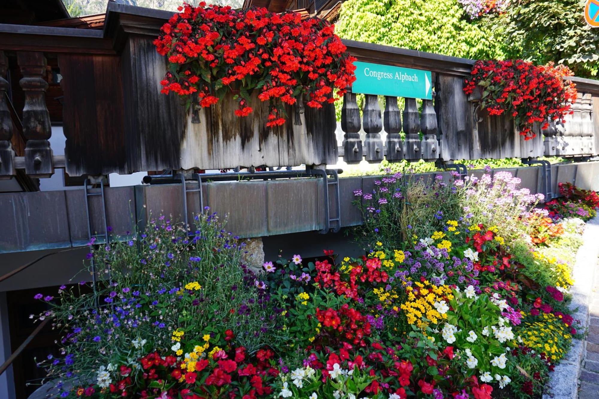Studio Schwarzenauer Apartment อัลพ์บาค ภายนอก รูปภาพ